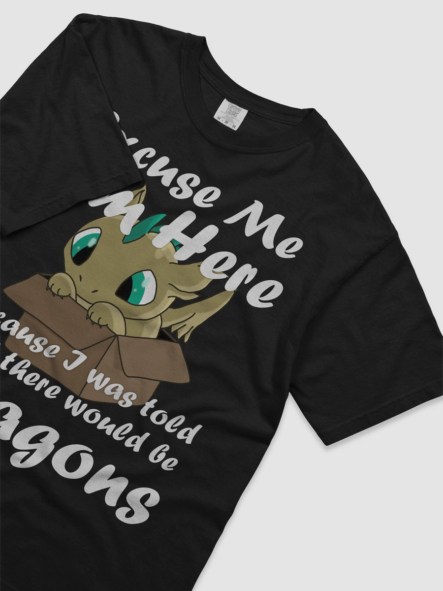 I'm Here for the Dragons product image (23)