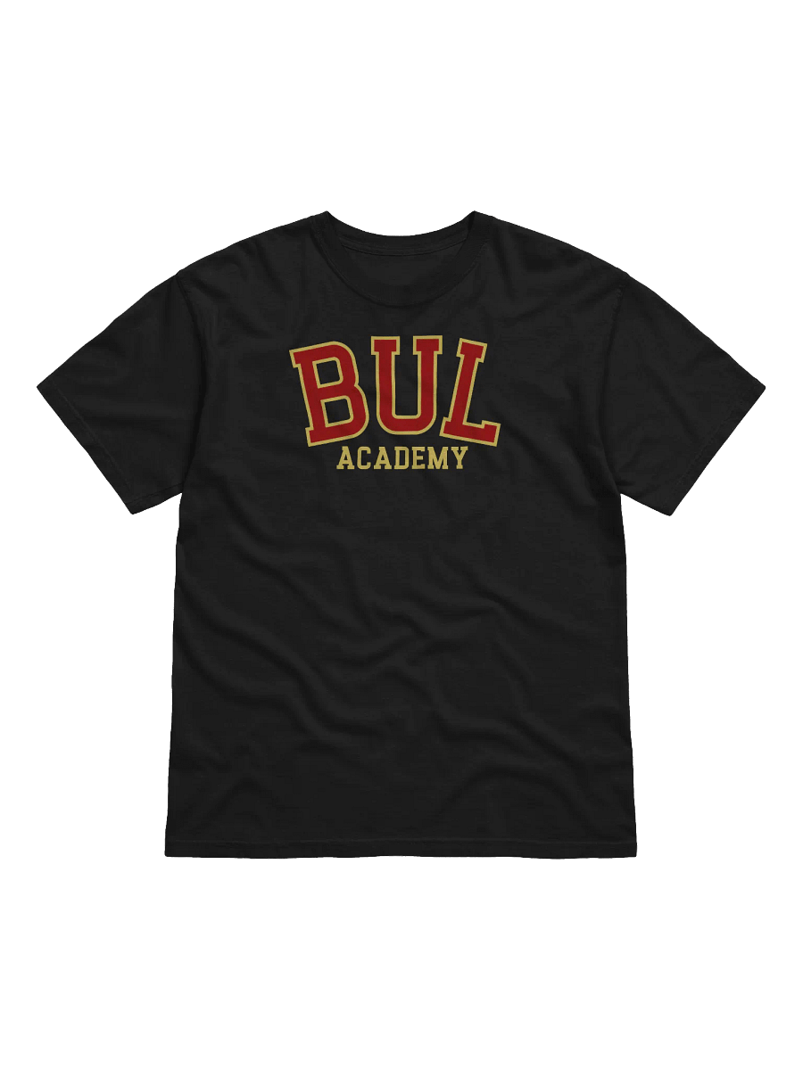 Bul Academy | Comfort Colors Garment-Dyed Heavyweight T-Shirt product image (12)