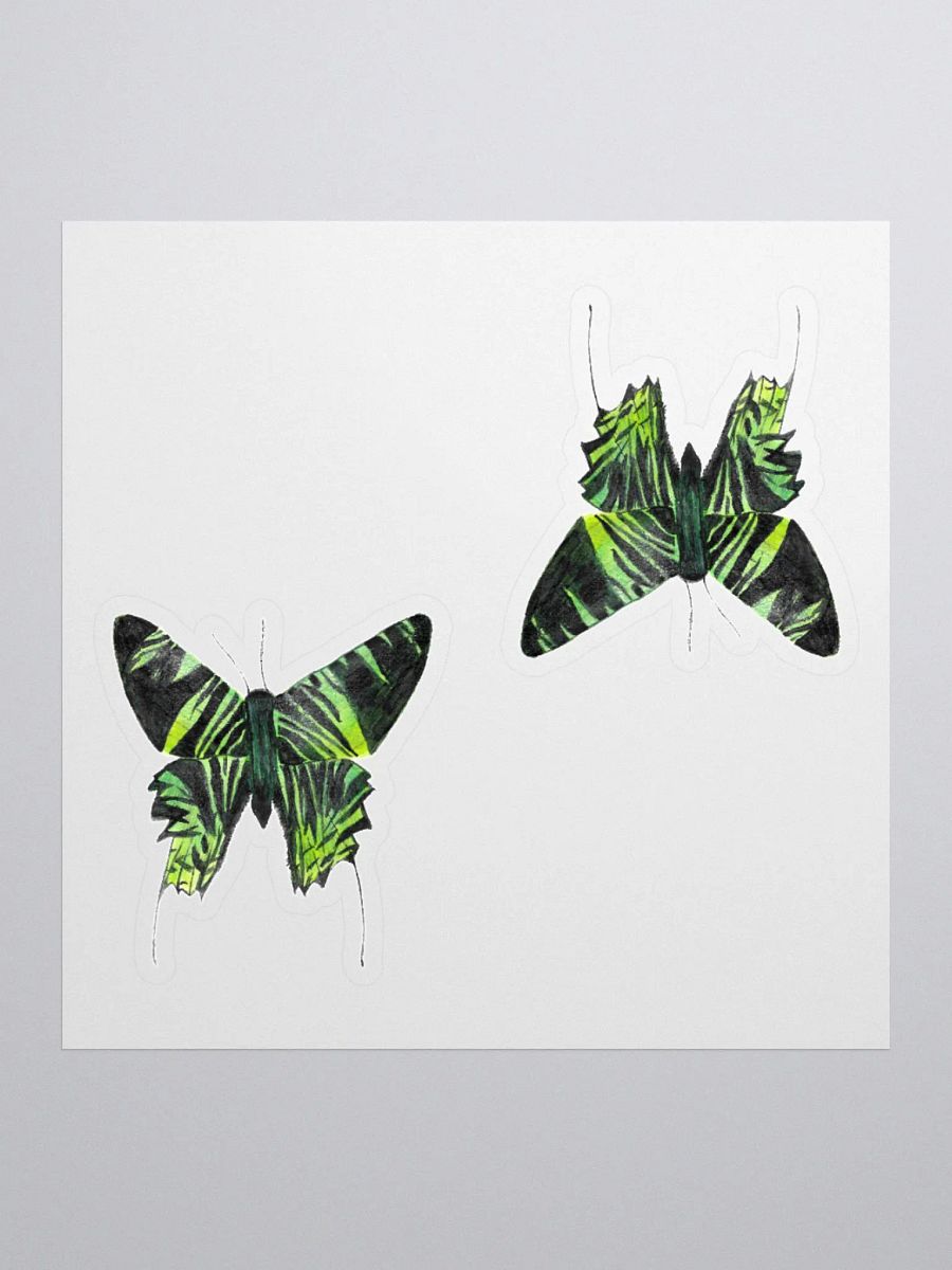 Green Banded Urania Moth product image (1)