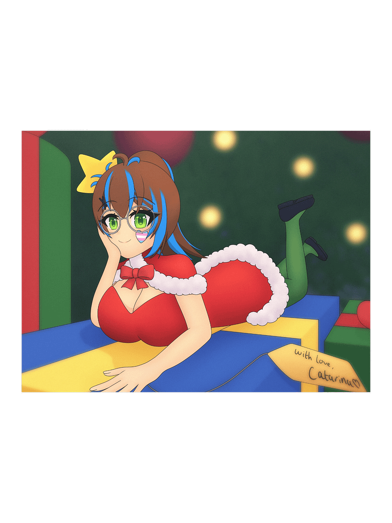 Catarina's Gift (Poster)