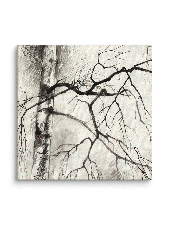 Birch Whispers Canvas - Birches product image (2)