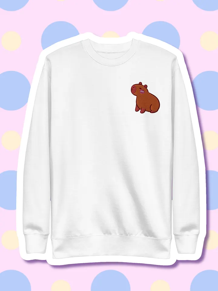 Cute Capybara Embroidered Premium Sweatshirt product image (2)