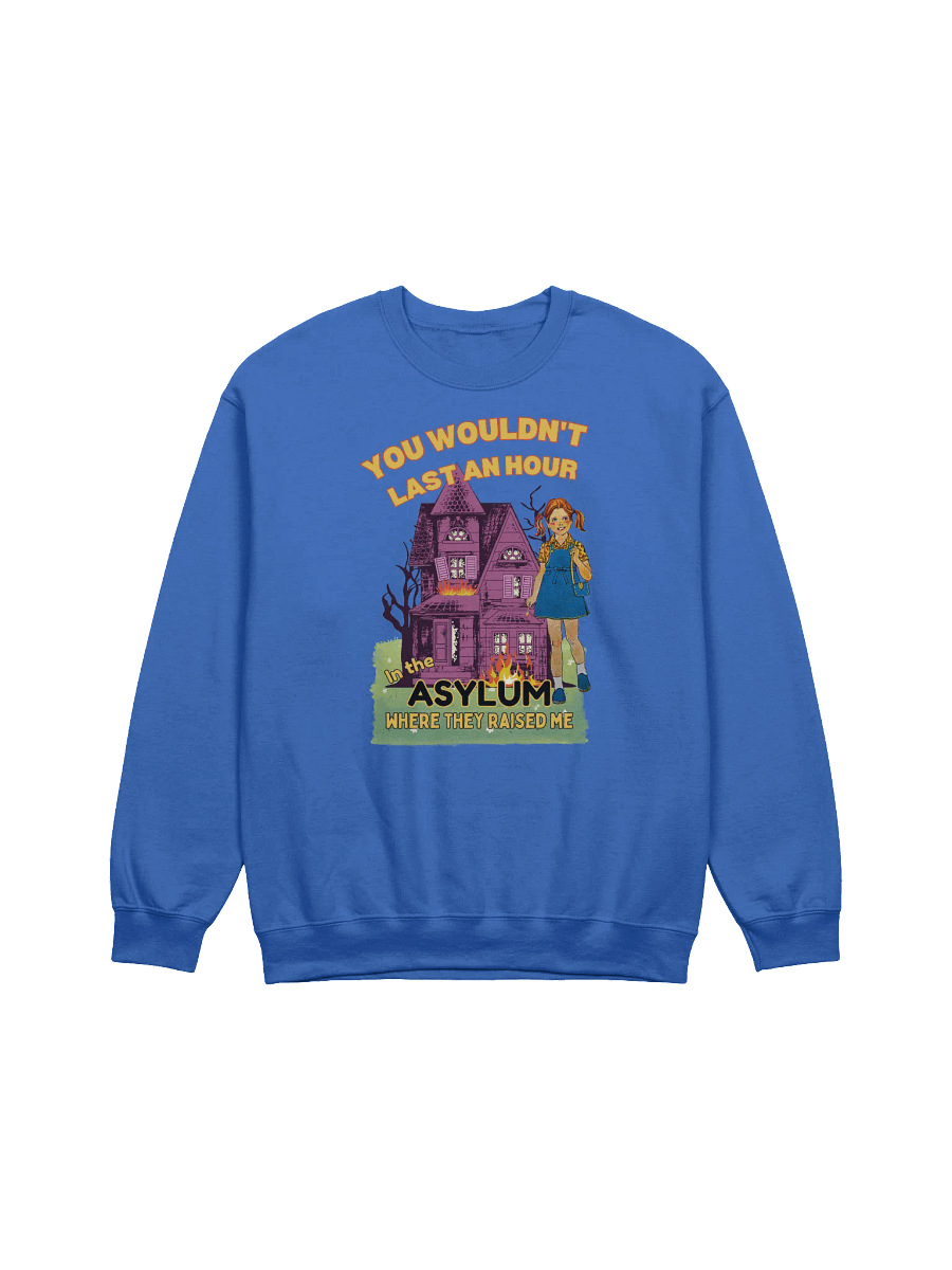 You Would't Last An Hour In The Asylum They Raised Me Sweatshirt product image (44)