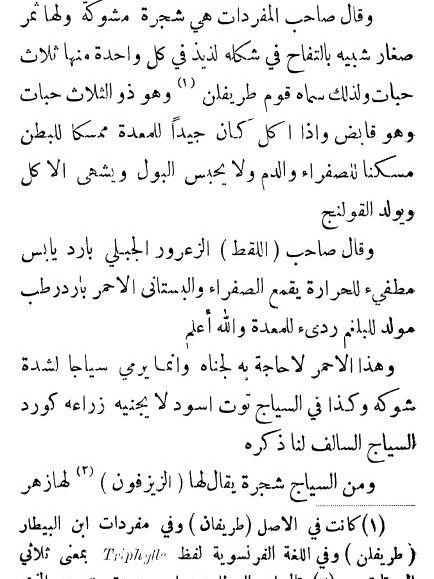 نزهة الانام في محاسن الشام ( طباعة عام 1922 ) product image (5)
