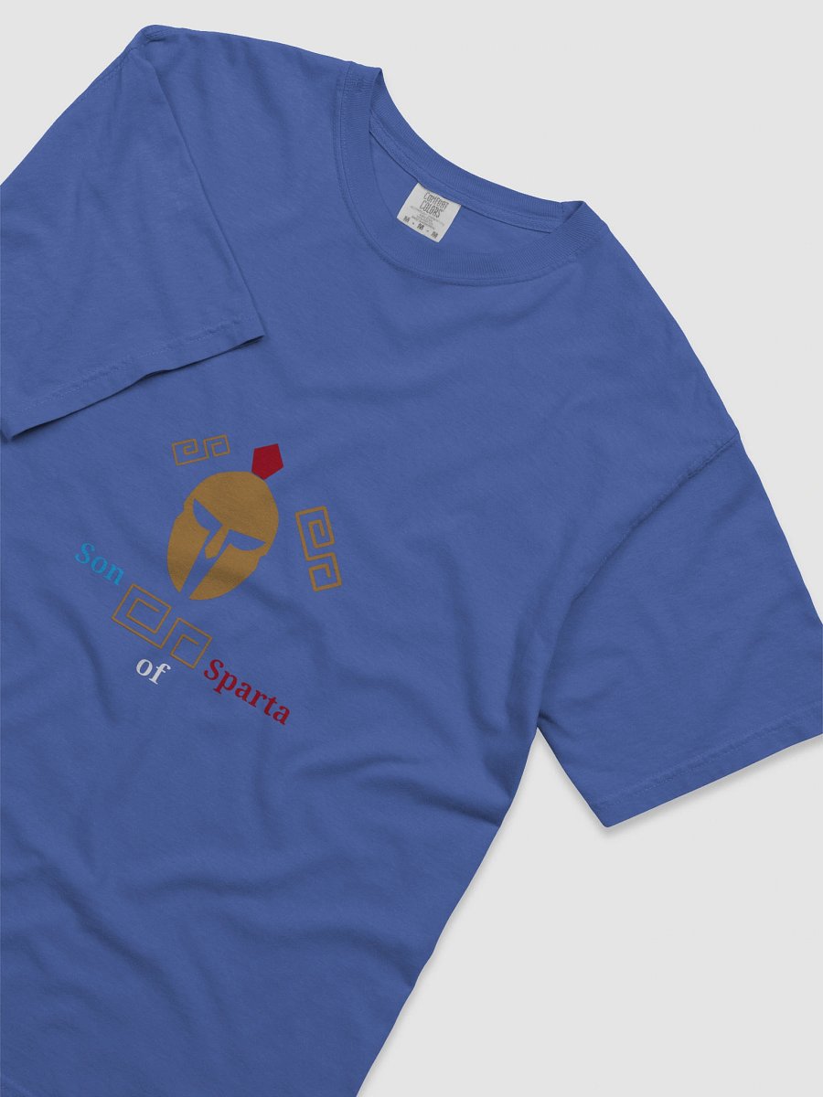 Spartan Crest Comfort Tee product image (5)