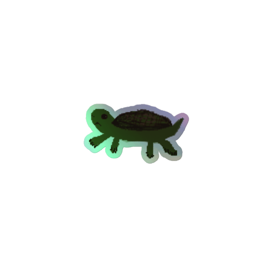 An additional Turtle product image (1)