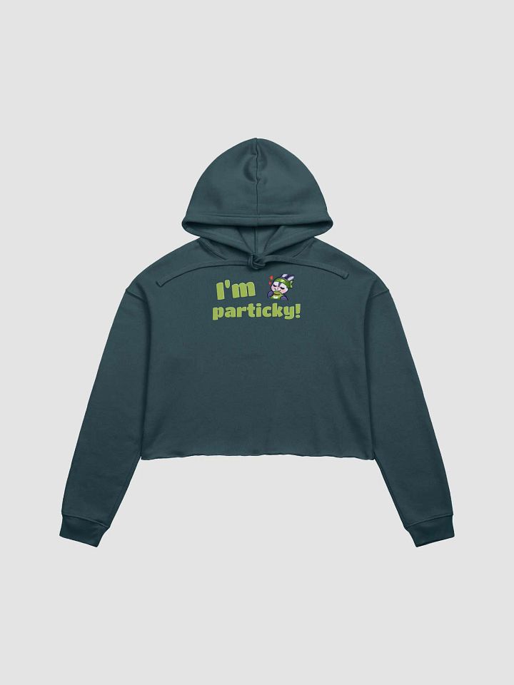 Particky Crop Hoodie product image (1)