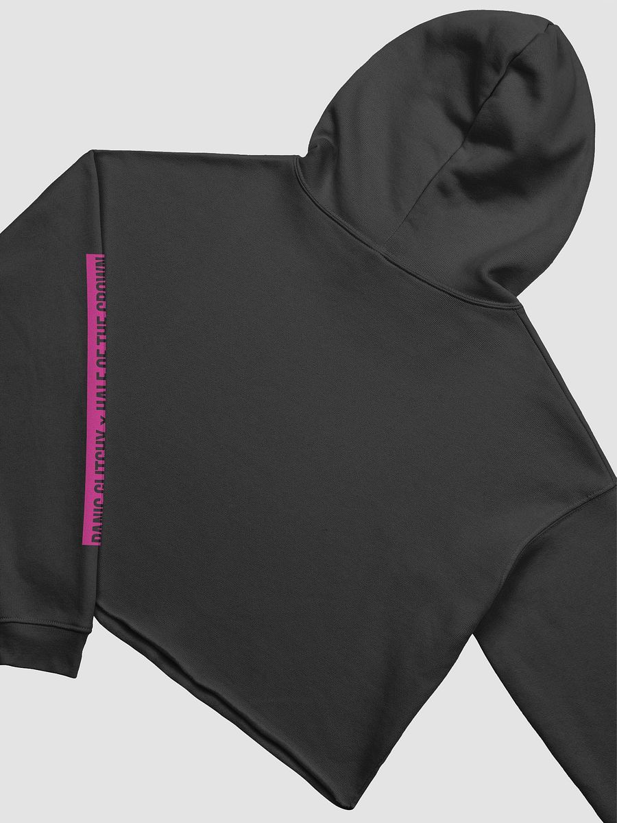 PG X HOTC: The Crown Crop Hoodie (v2) product image (4)