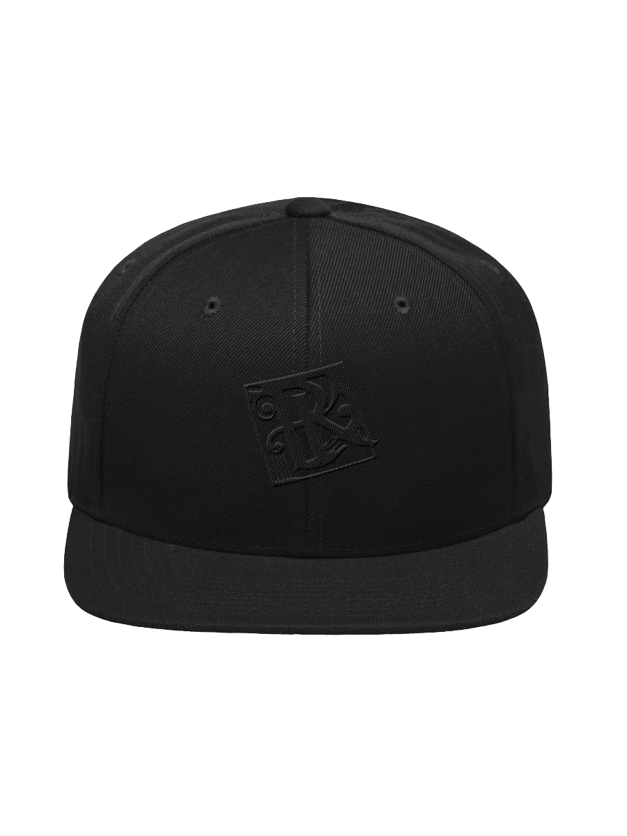 PK LOGOReady Wool Blend Snapback Cap product image (2)