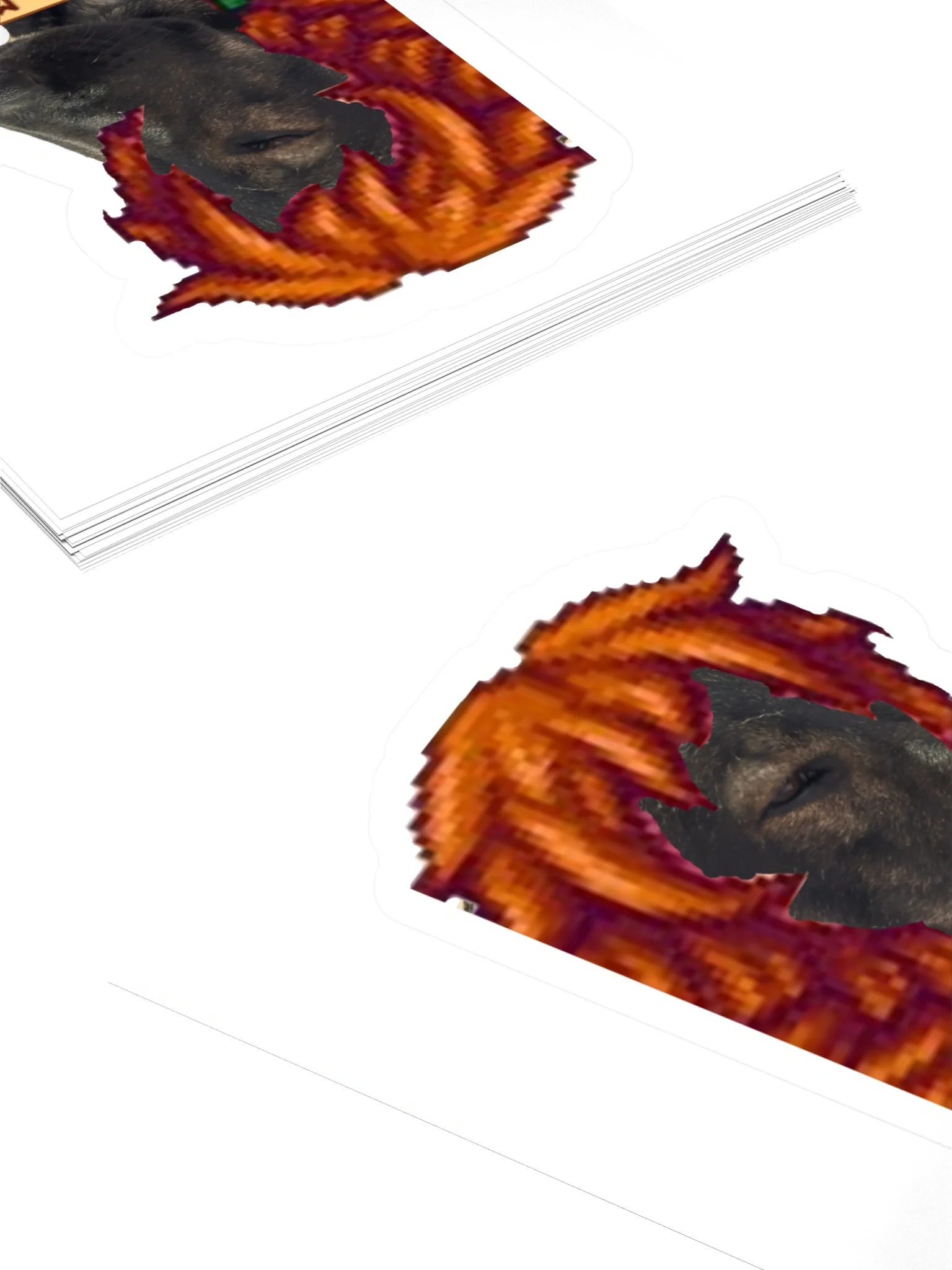 Dog Marnie product image (16)