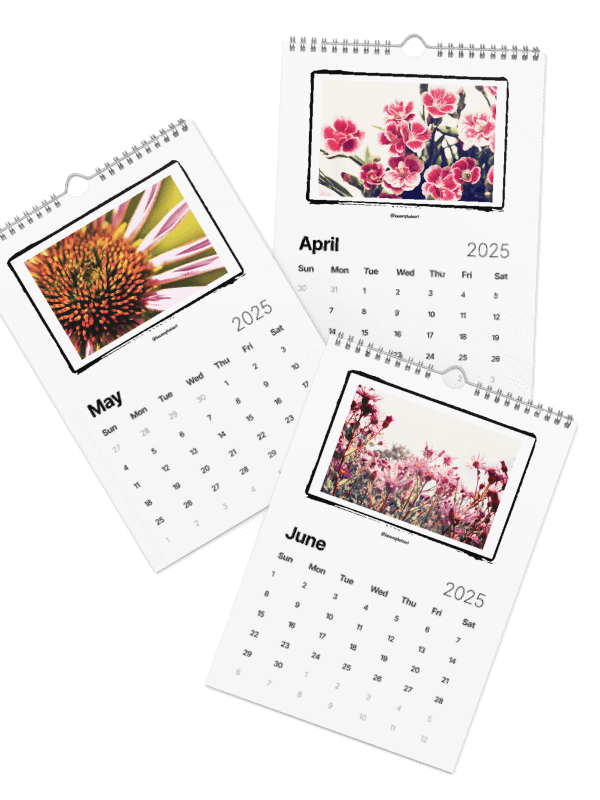 Flowers Wall Calendar 2025 product image (3)