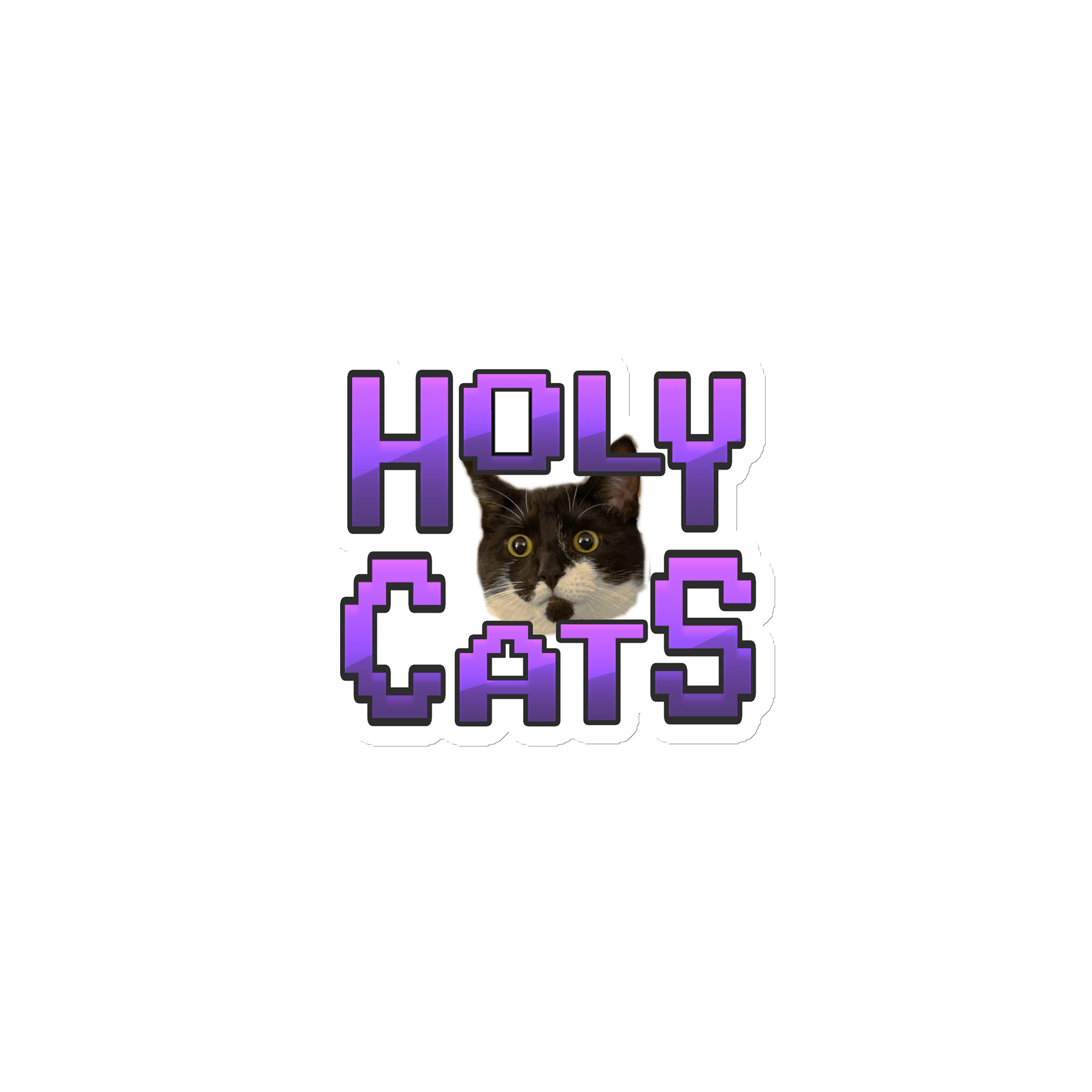 Holy Cats! Magnet. product image (1)