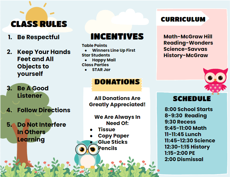 Owl Back to School Brochure product image (3)