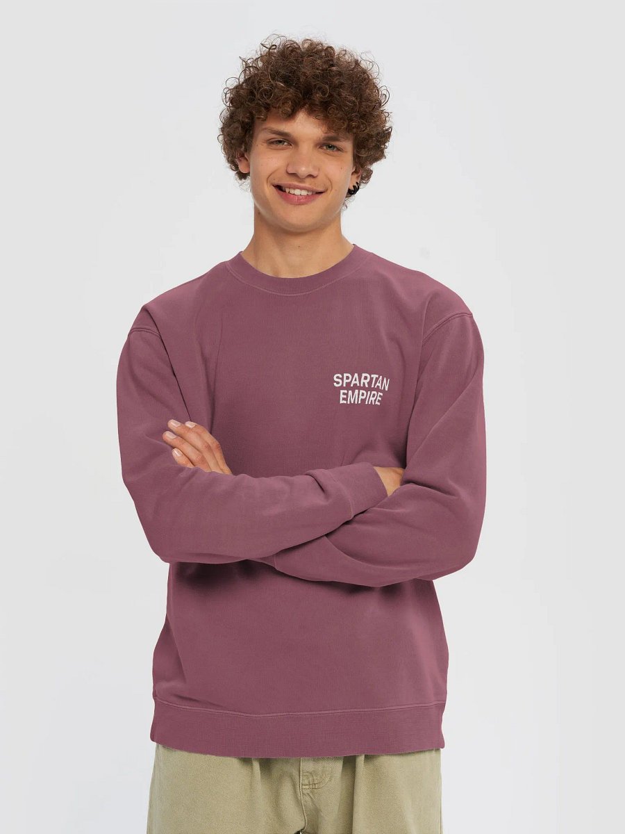 The Elite Sweater (Maroon / White) product image (5)