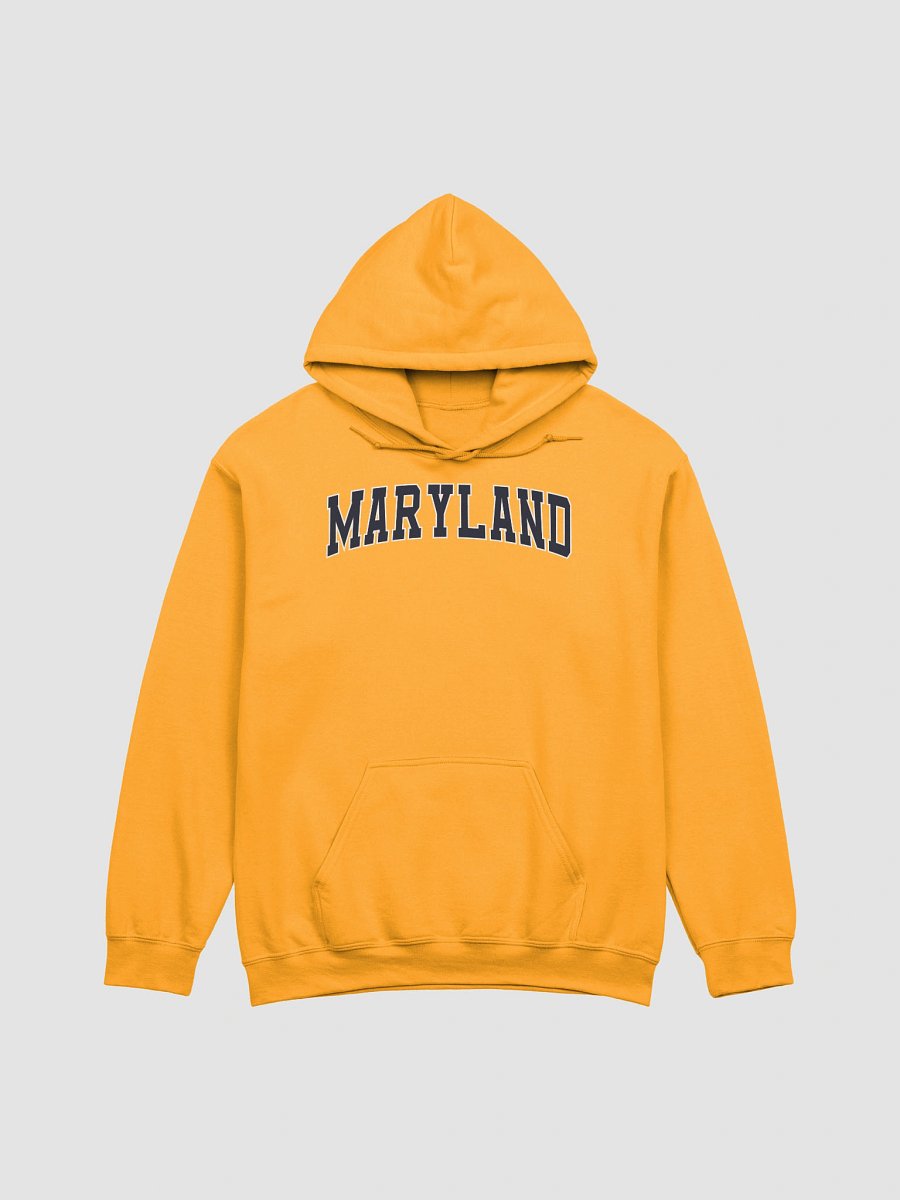 Maryland Vintage Stylish Classic Hoodie product image (1)