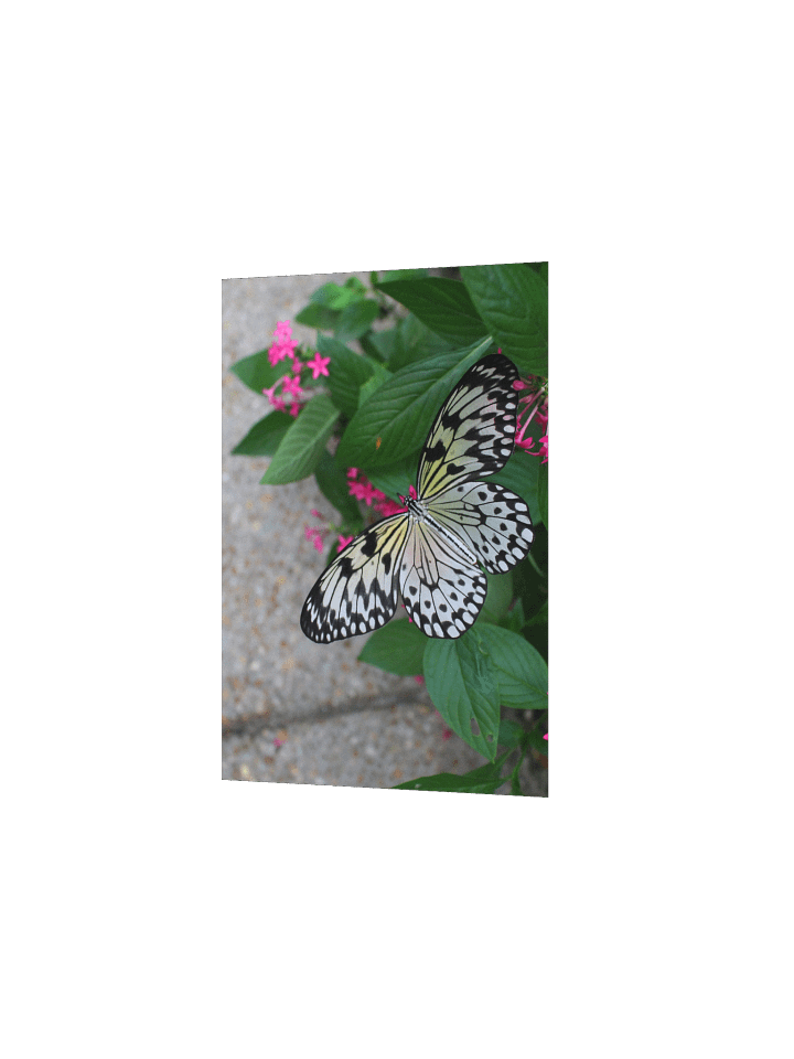 Yellow Butterfly Flying product image (8)