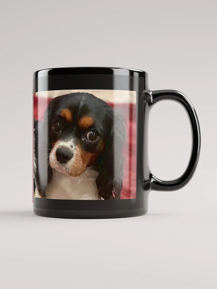 Myra and her 2024 Puppies product image (1)