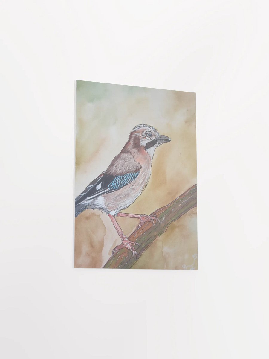 Corvis Series [01] Eurasian jay poster print product image (3)