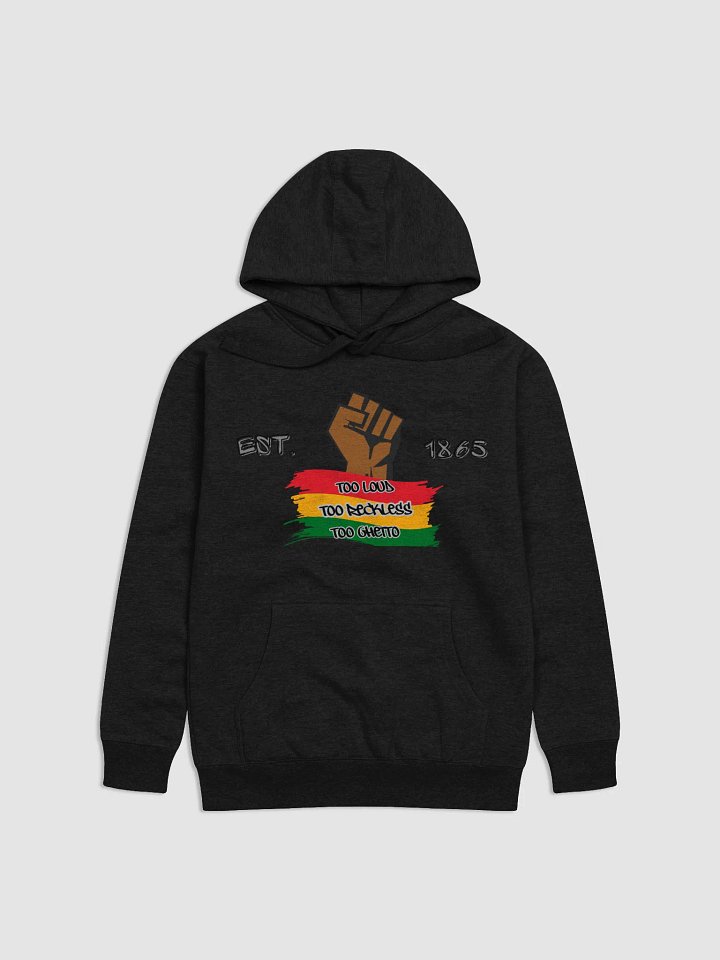 TOO LOUD TOO RECKLESS TOO GHETTO HOODIE 2 product image (1)