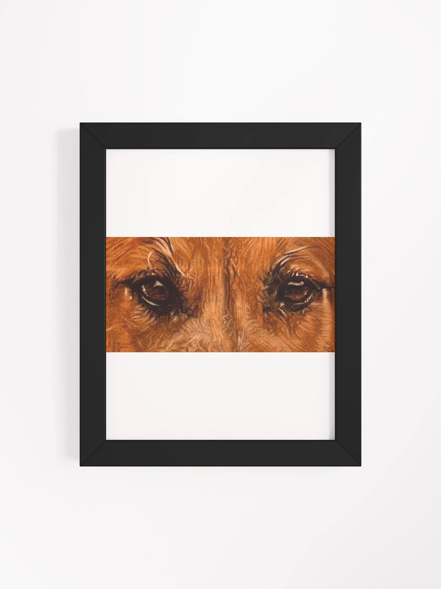 BBlack Mouth Cur Eyes Colored Pencil Framed product image (16)