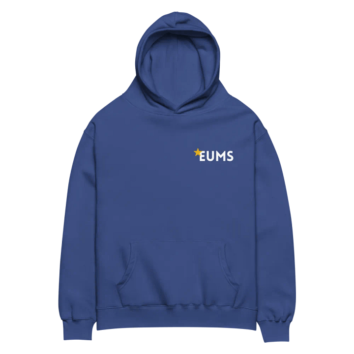 Oversized Hoodie - EUMS product image (2)