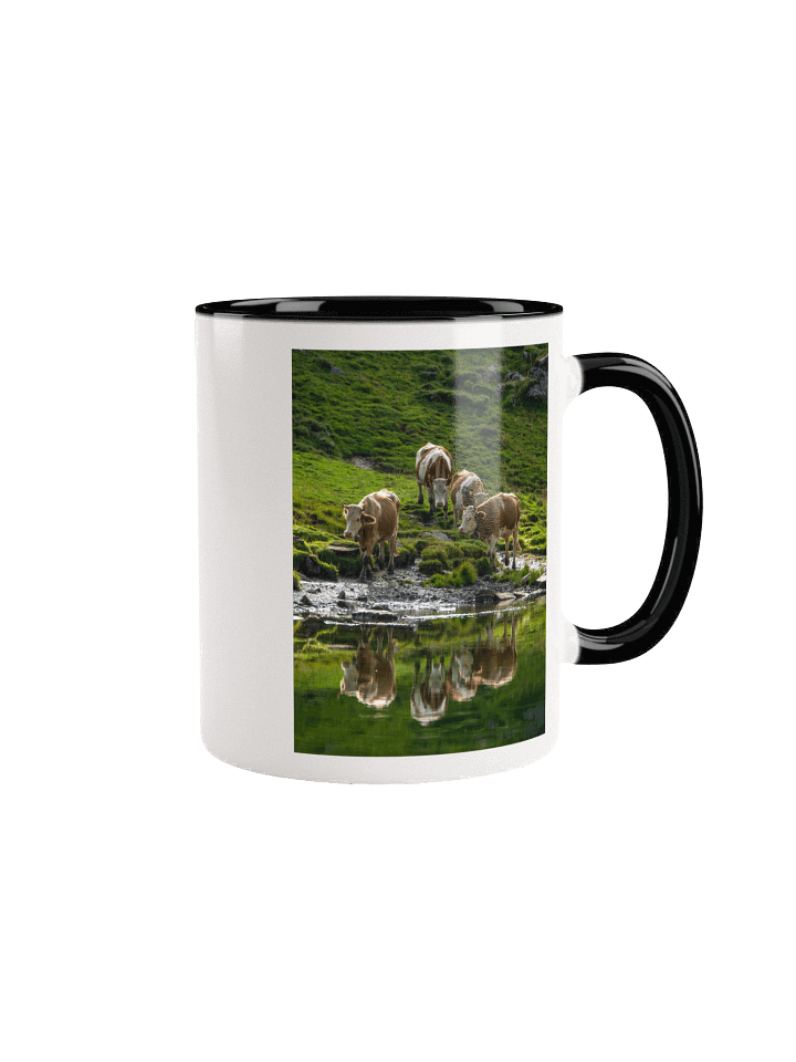 Cows at Sulseeli Jungfrau Region product image (7)