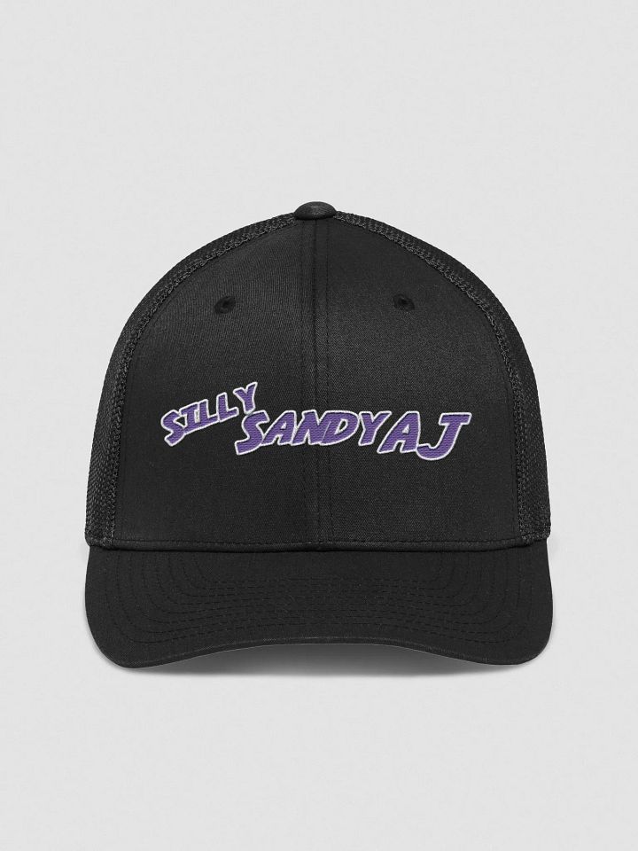 Silly SandyAJ Flexfit Mesh Back Trucker Hat product image (1)