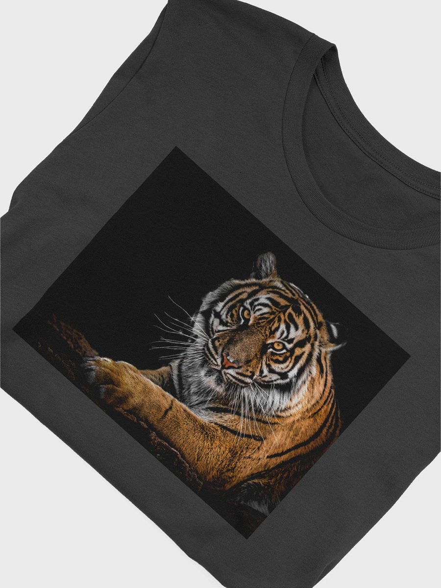 test p1 product image (4)