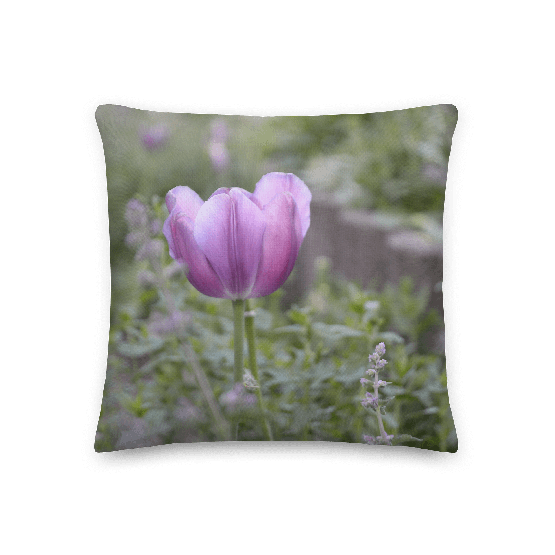 Premium-Kissen - Lila Tulpe product image (1)