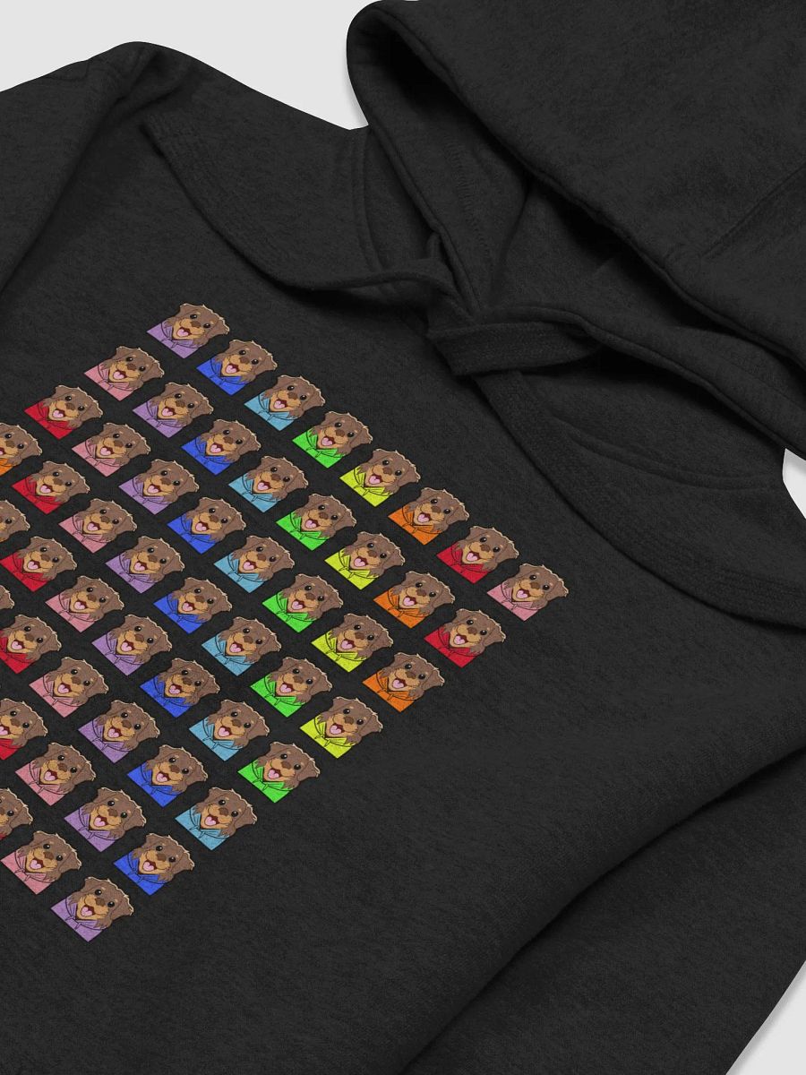 LolaPride Hoodie product image (3)