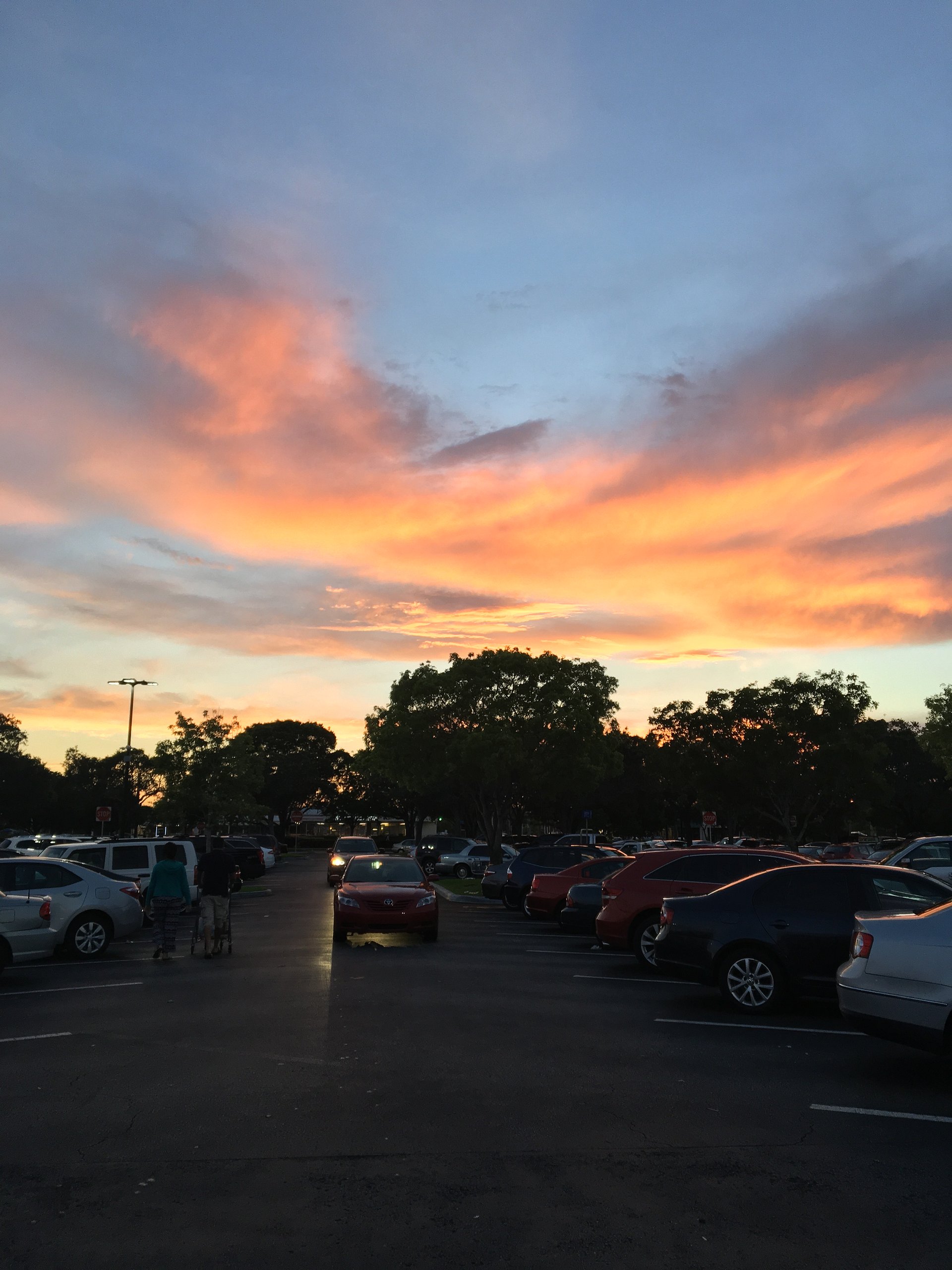 Digital Sunsets product image (4)