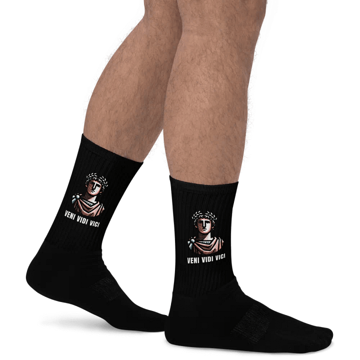 Veni Vidi Vici Socks product image (2)