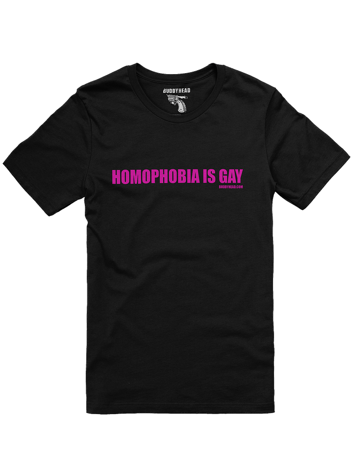 Homophobia Is Gay tee product image (3)