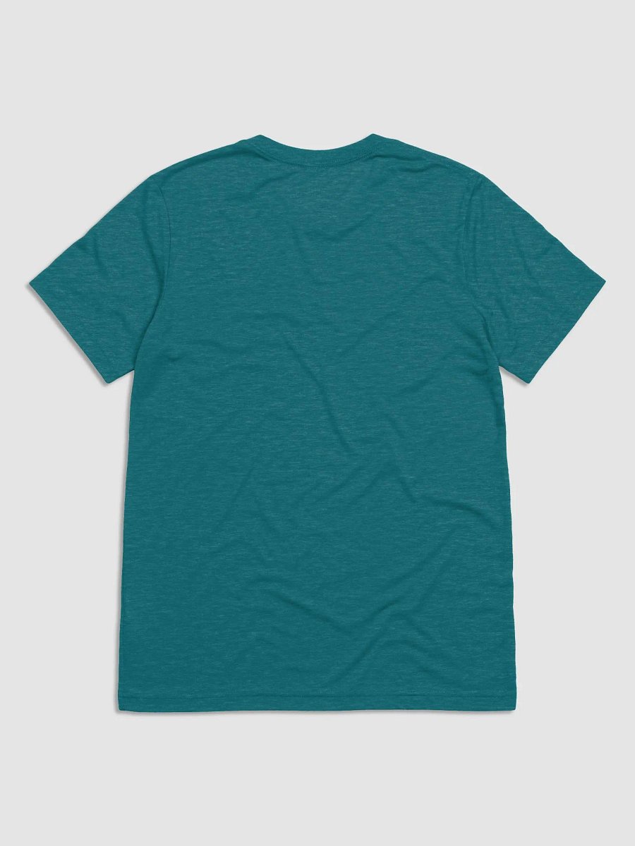 Arab Instruments Bella+Canvas Triblend Short Sleeve product image (17)