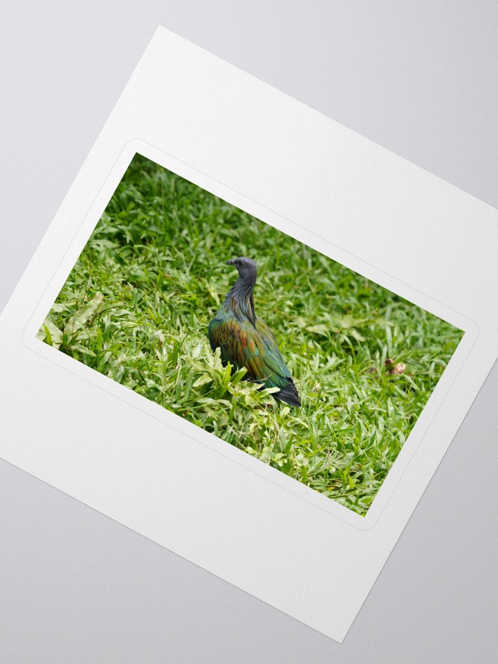 Iridescent Nicobar Pigeon Kiss Cut Stickers product image (2)
