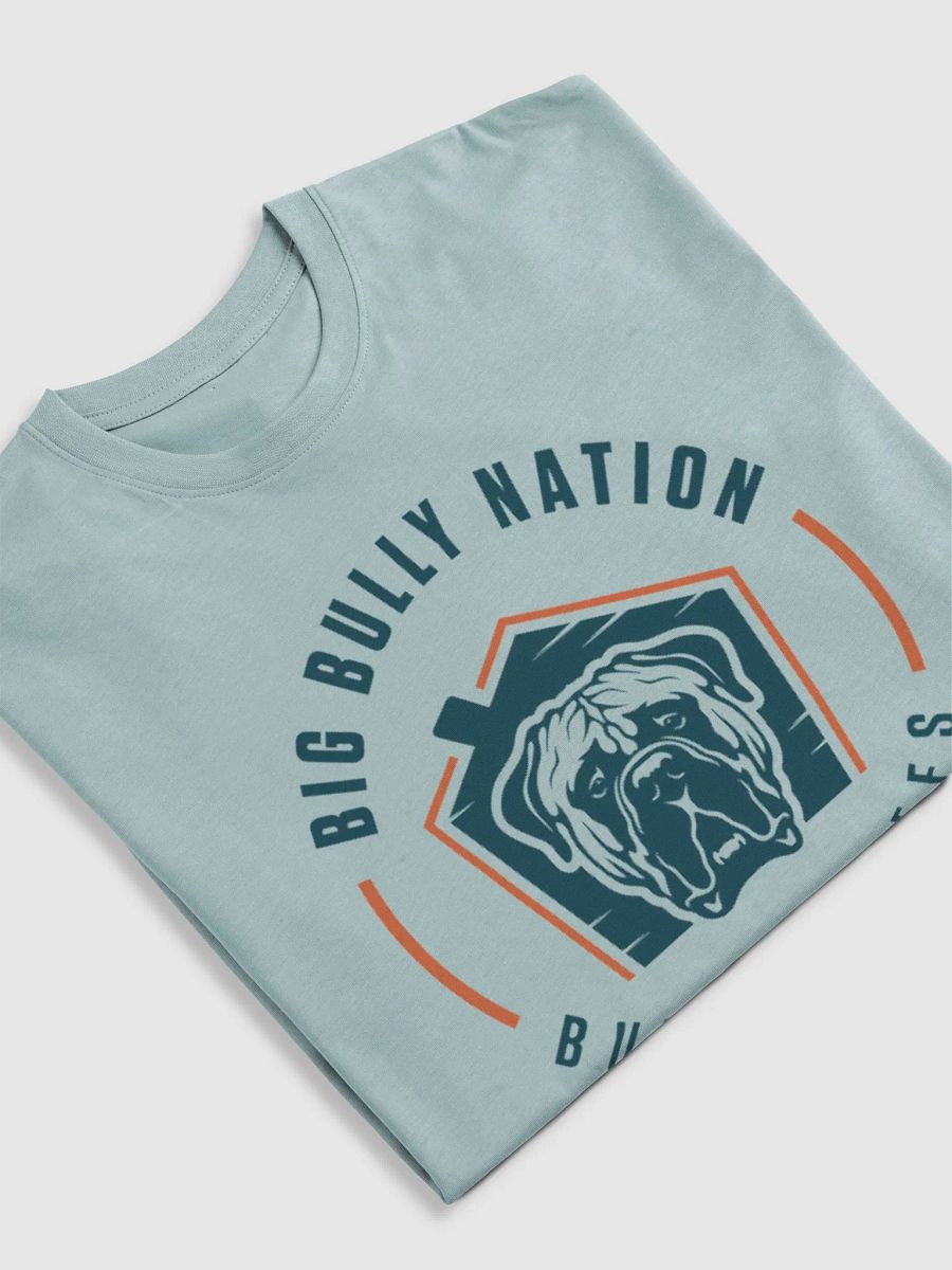 BBN Logo 2 Men's Tee product image (30)