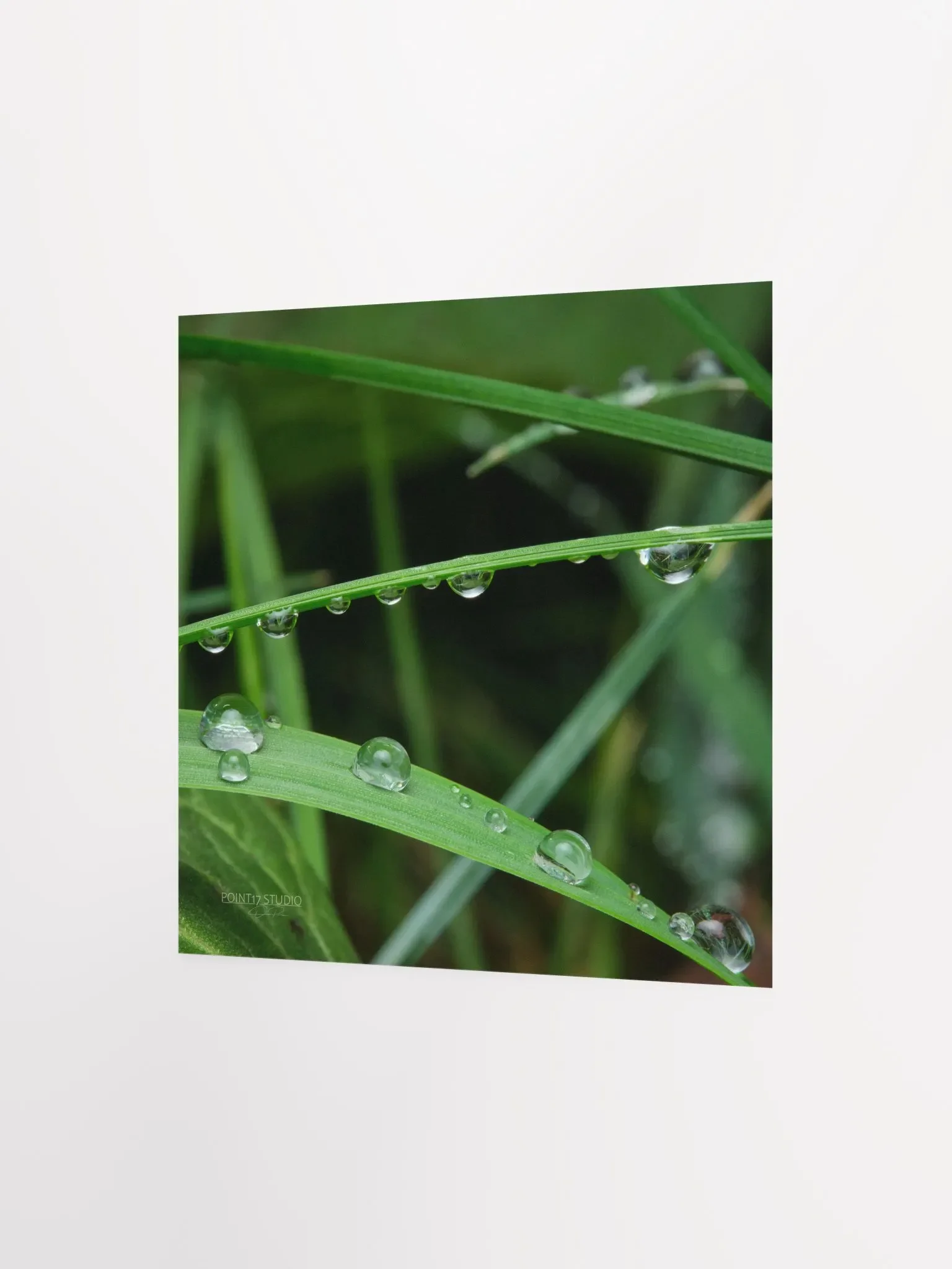 Dew Gems #9 - Print product image (4)