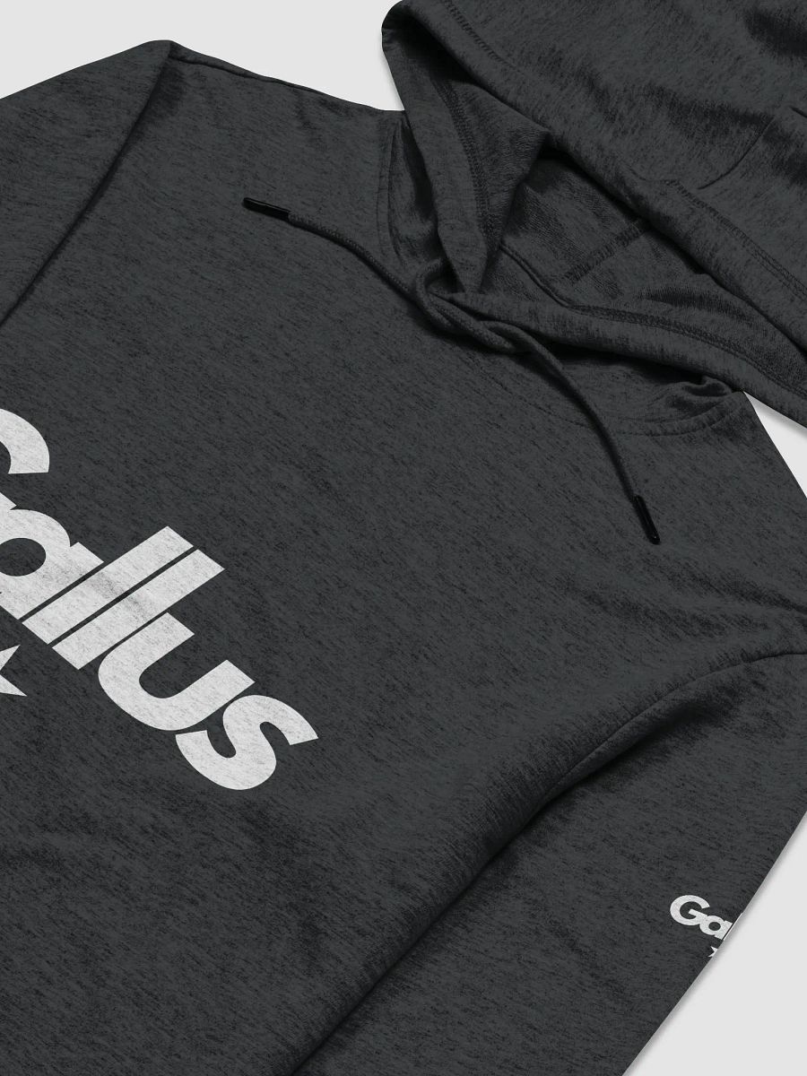 Gallus Light Hoodie product image (3)