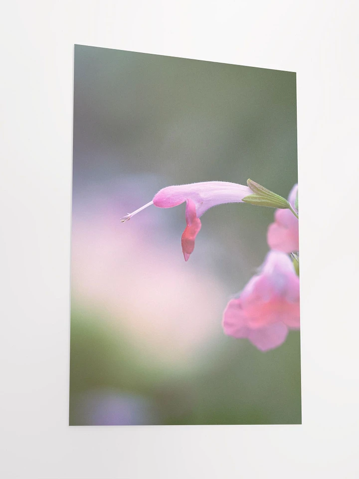 Pink Hummingbird Flower product image (5)