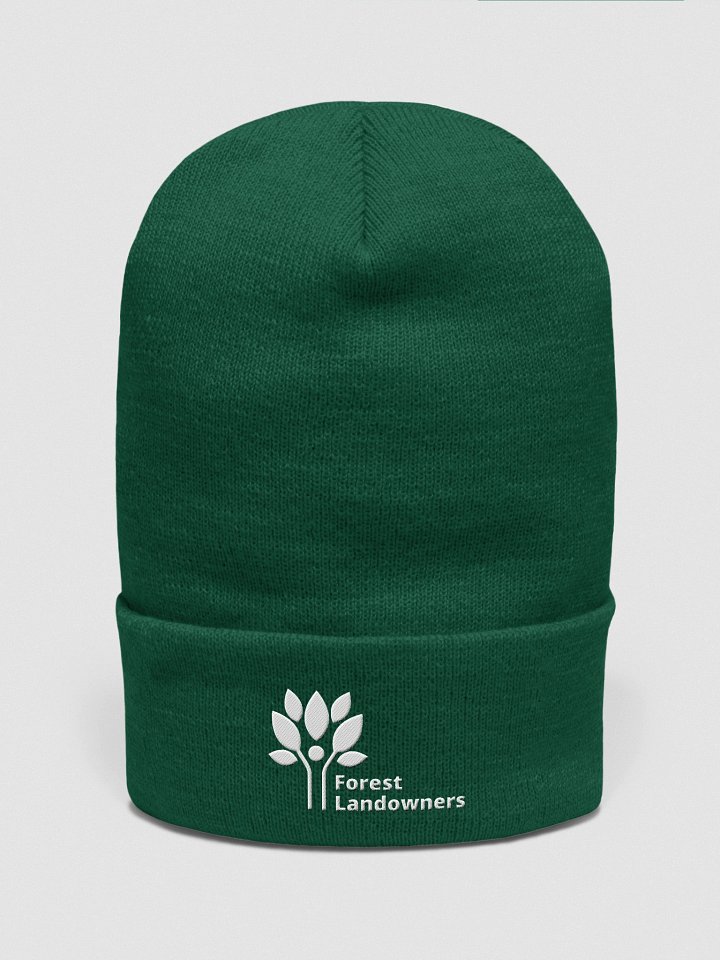 Green FLA Beanie product image (1)