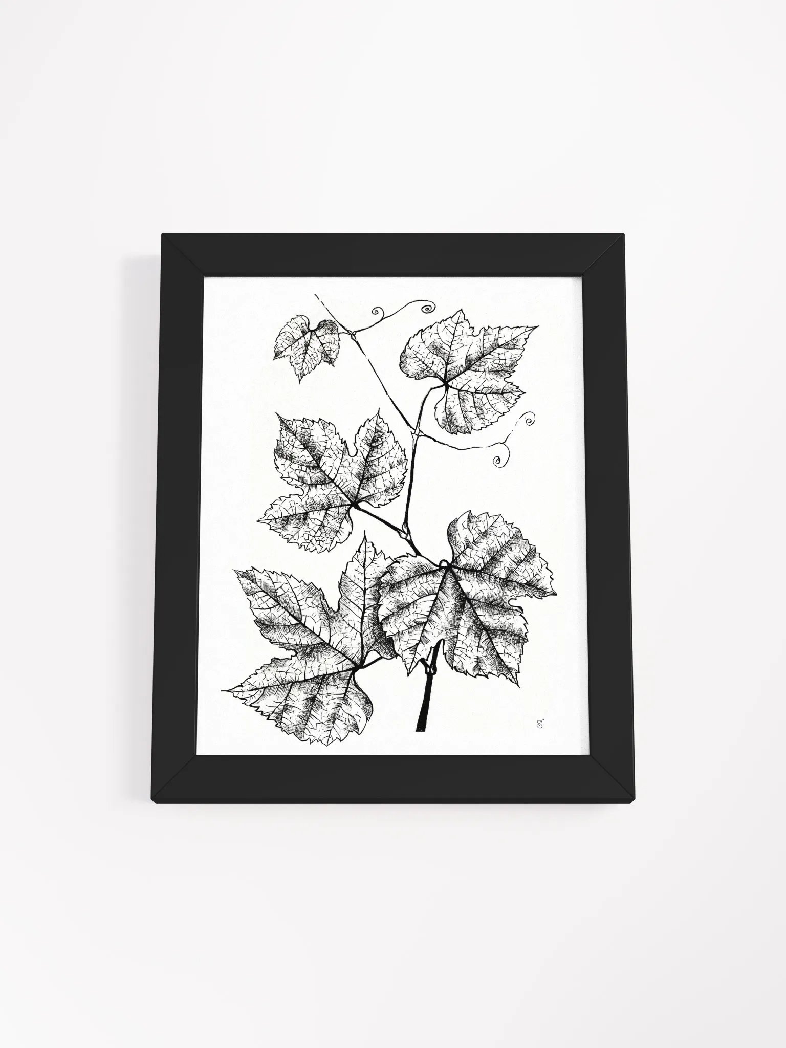 Intricate Vine Line Art Poster - Grape Leaves product image (3)
