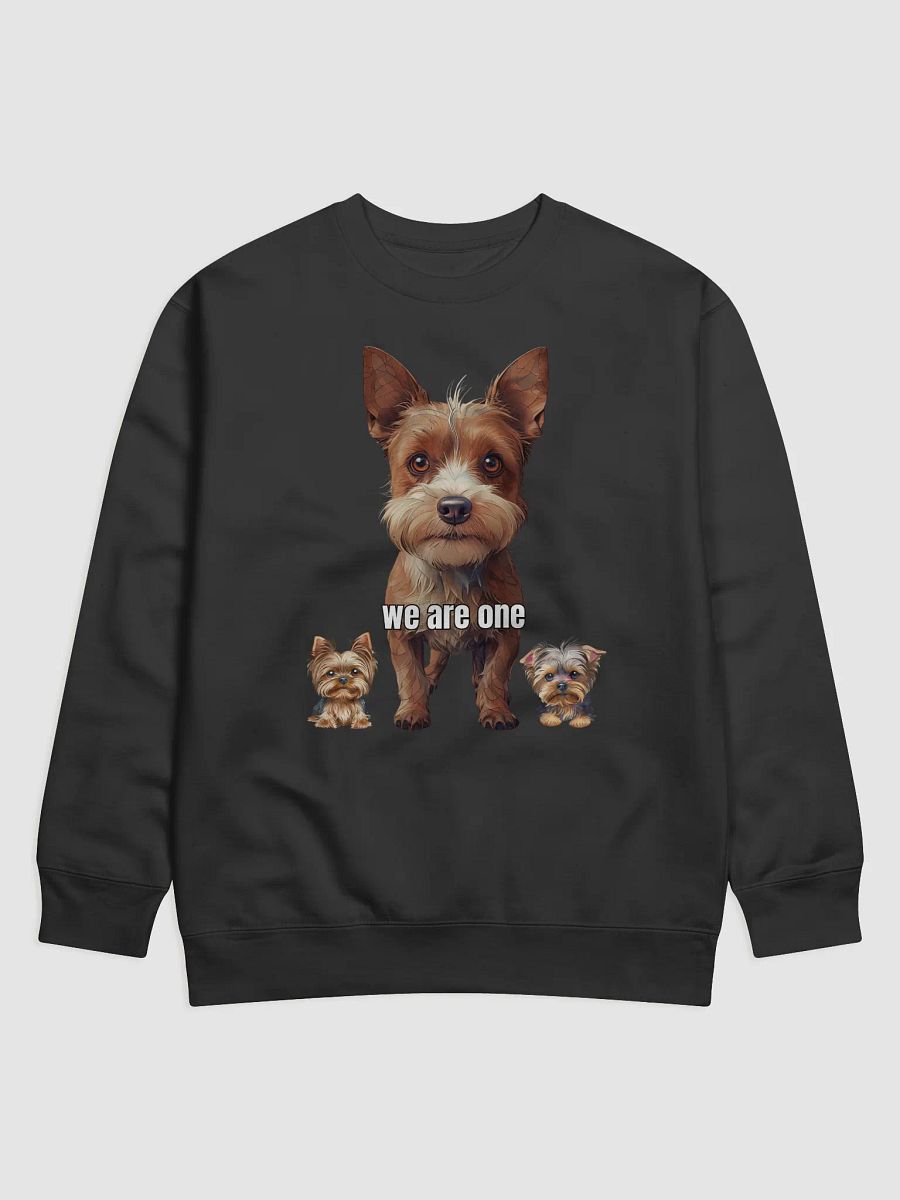 Unity in Diversity Premium Sweatshirt product image (1)