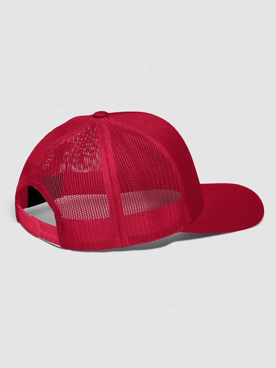 Aligned AF 222 Trucker Snapback product image (6)