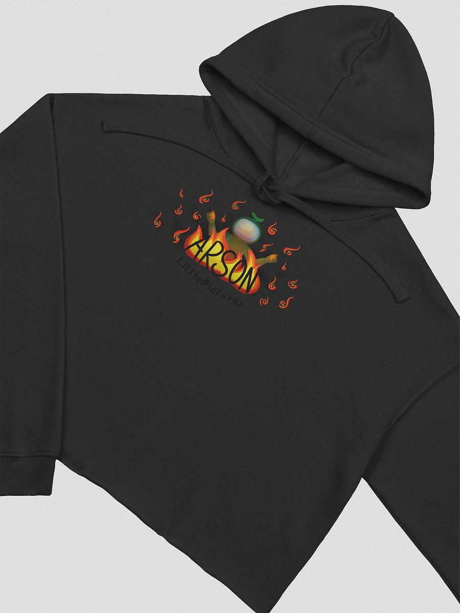 Arson Cropped Hoodie product image (10)