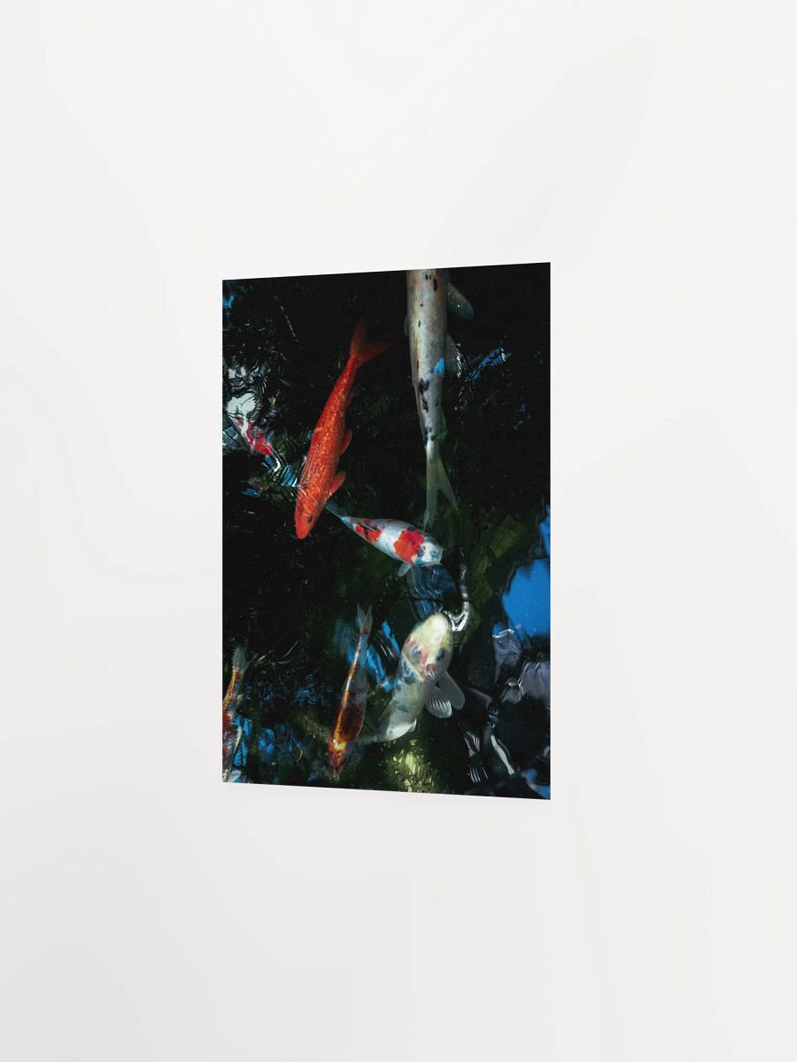 Koi Pond Serenity Poster product image (22)