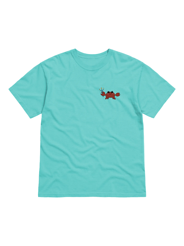 Aqua Team logo shirt product image (1)