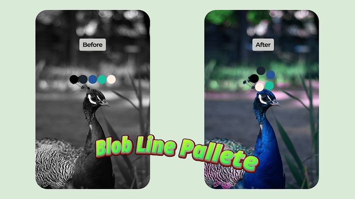 New Before/After Color Palette Templates product image (2)