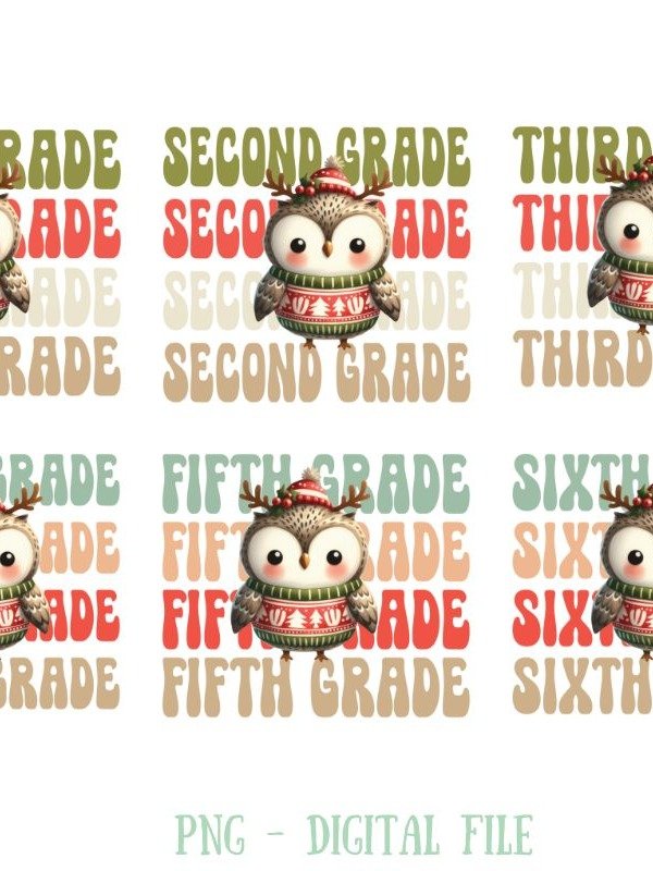 Christmas Owl Teacher sublimation bundle product image (1)
