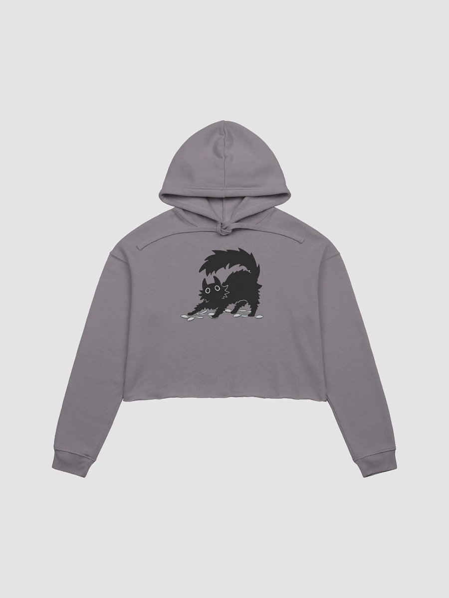 my SPOONS fleece crop hoodie product image (2)