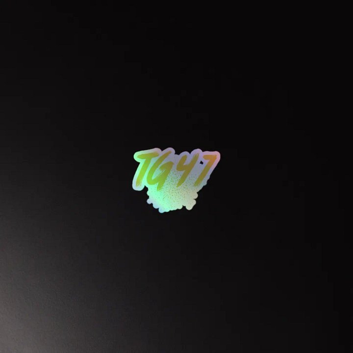 TG Holographic Sticker product image (2)